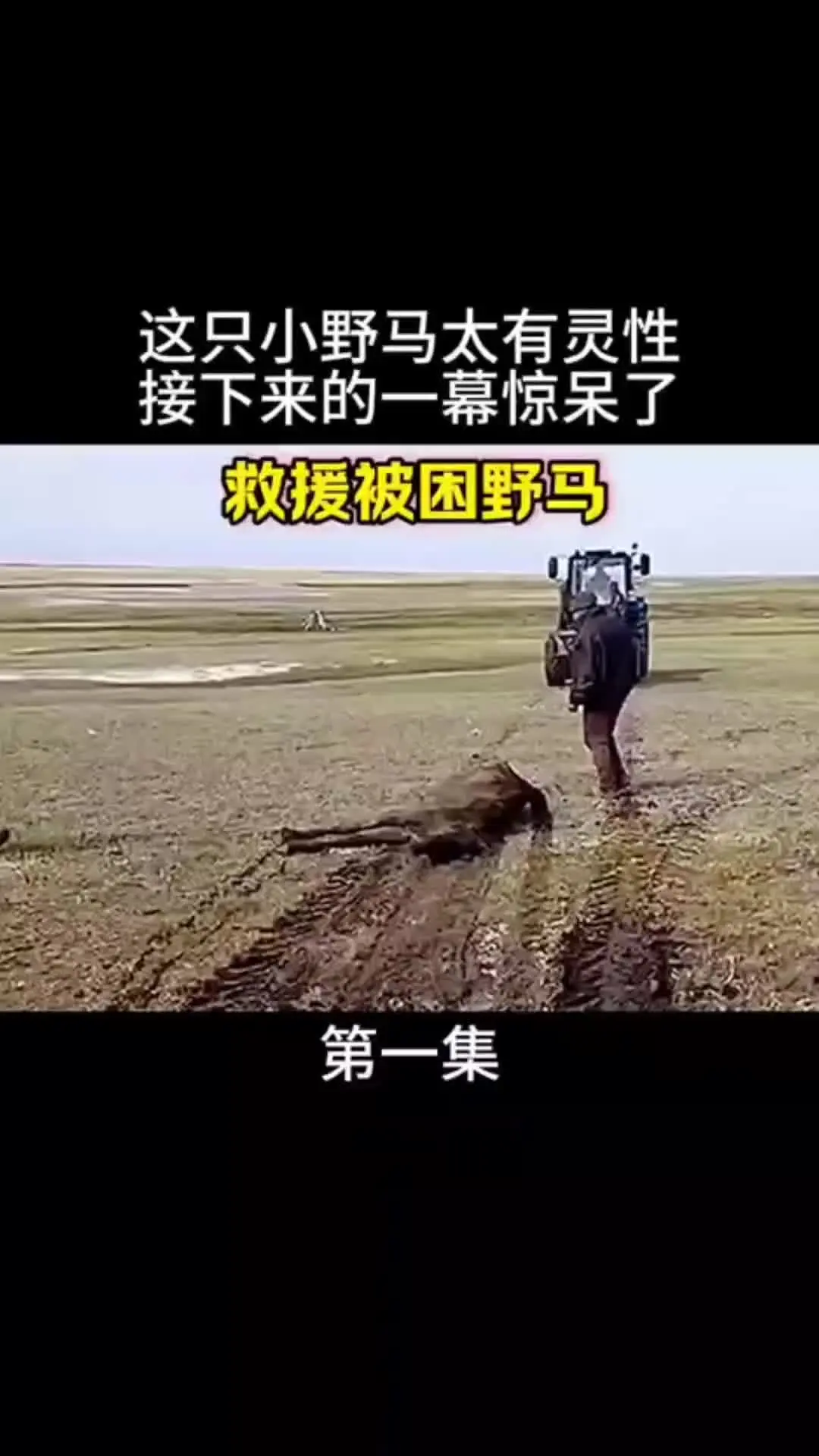 我的观影报告 内容启发搜索
