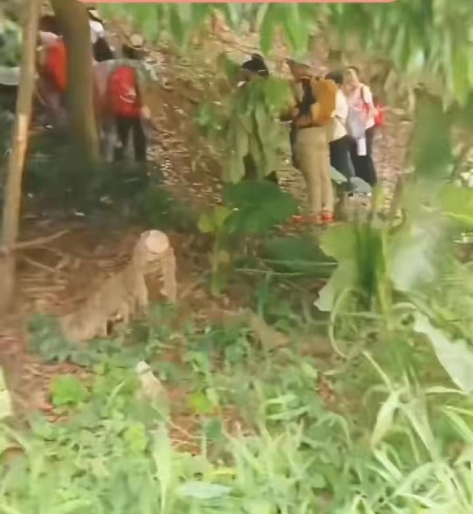 奇怪不？最近某地村民发现一群人背着包，神秘消失在大山里，跟上去看进入地洞了，进去