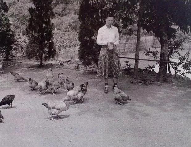 1950年的一天，突然全中国人民知道张学良和赵一荻被监禁的地方，蒋介石大怒将张学