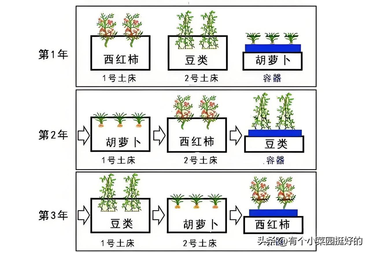 种菜什么是重茬？重茬怎么解决？为什么要轮插种菜?

重茬就是一块菜园子，年年老种