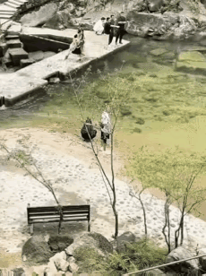 谁能理解拿自家狗狗的性命取乐是 什么心态，看完心里堵得难受。
      景区溪