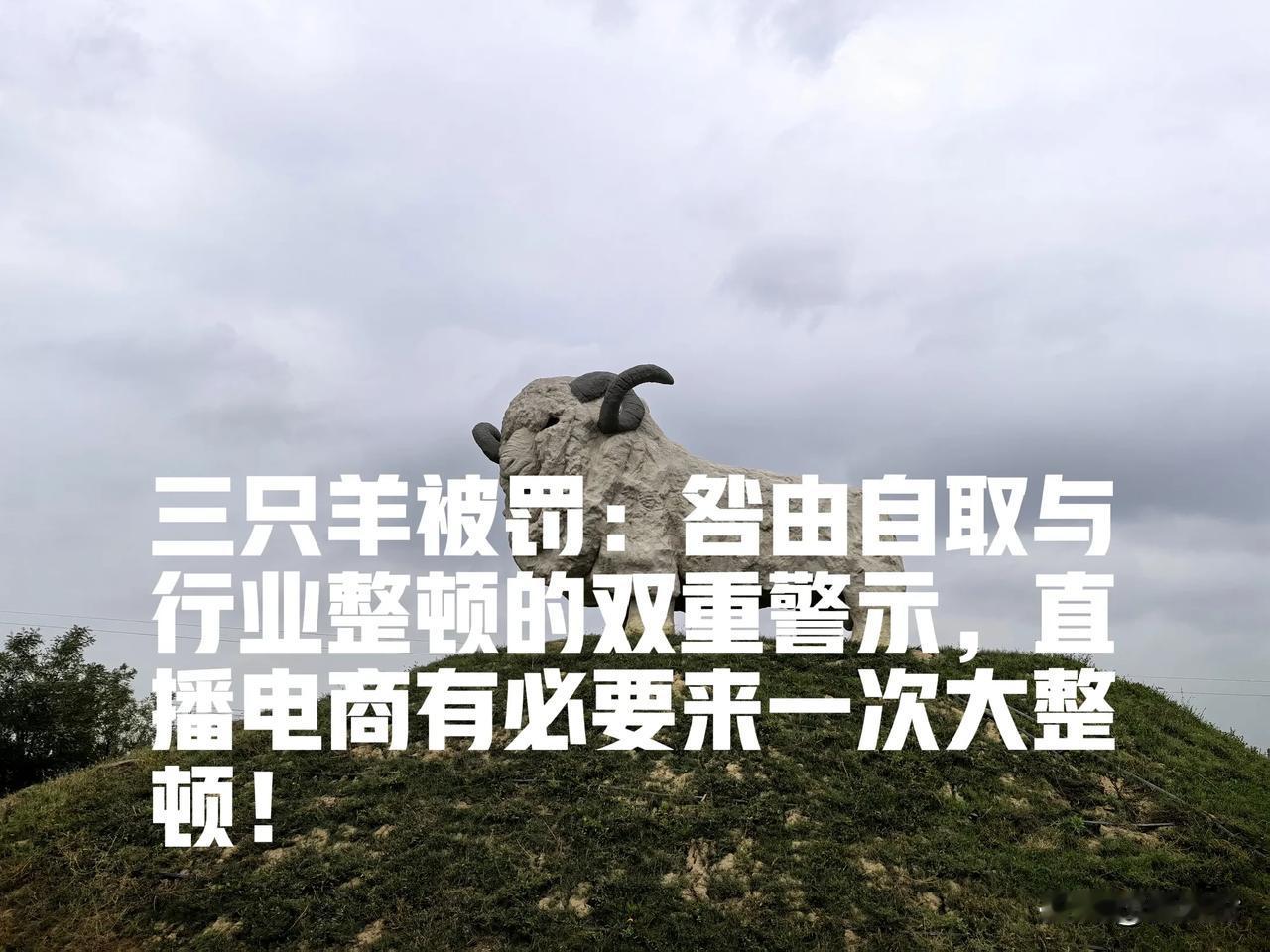 三只羊被罚：咎由自取与行业整顿的双重警示，直播电商有必要来一次大整顿！

近日，