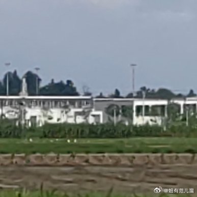 我妈这辈子没对我说过“我爱你”，但她记得我所有过敏源，会在家族群里转发各种“震惊