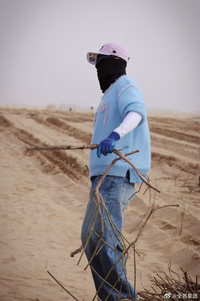鹭卓沙漠变绿洲冲冲冲鹭卓今日份沙漠玫瑰继续鹭卓继续朝着沙漠变绿洲的目标冲刺！沙漠