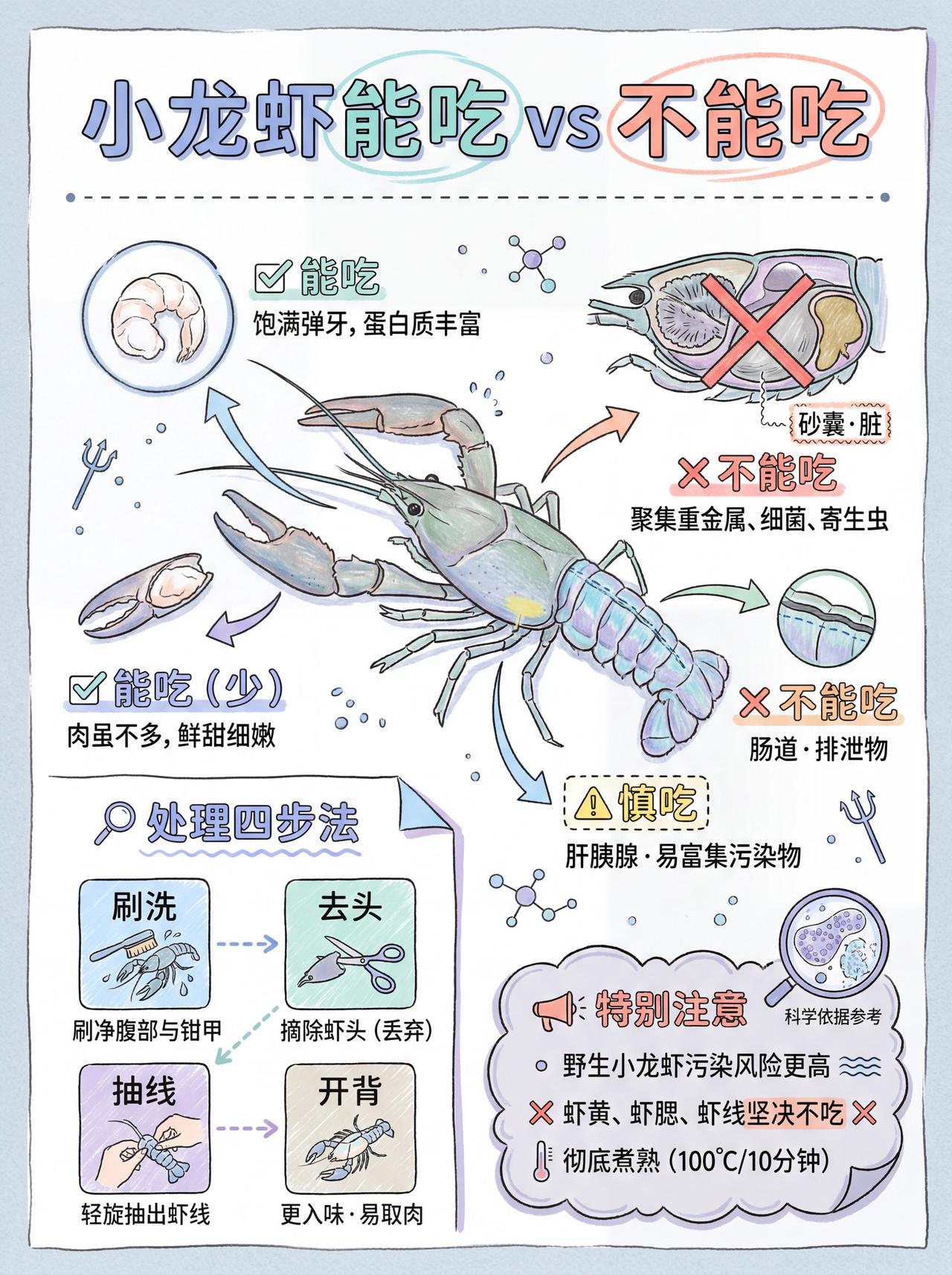 一图看懂：小龙虾哪些部位不能吃哪些部位能吃科普 涨知识 小龙虾 麻辣小龙虾