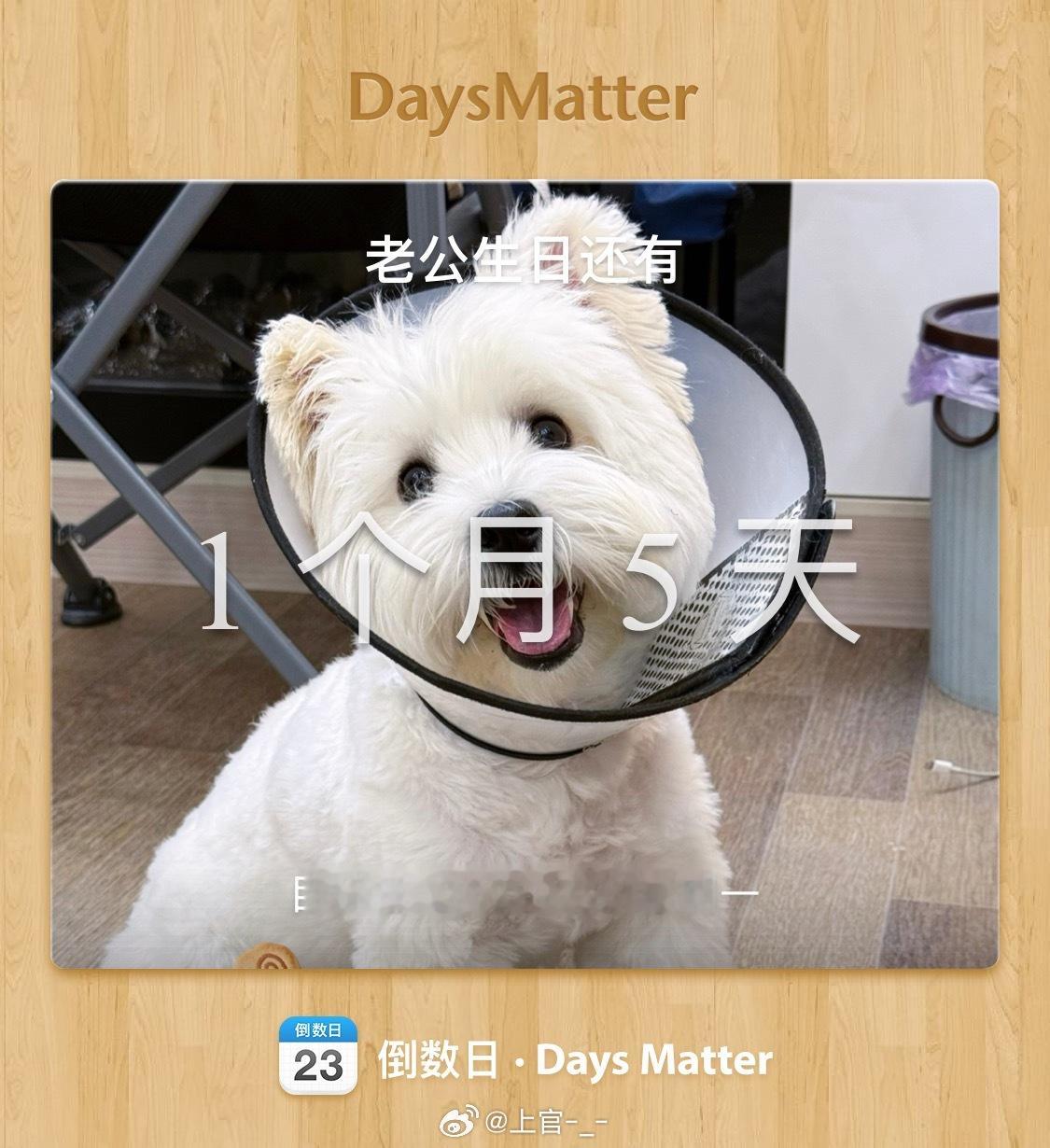 距离刘学义生日仅剩最后一个月了，你说了算