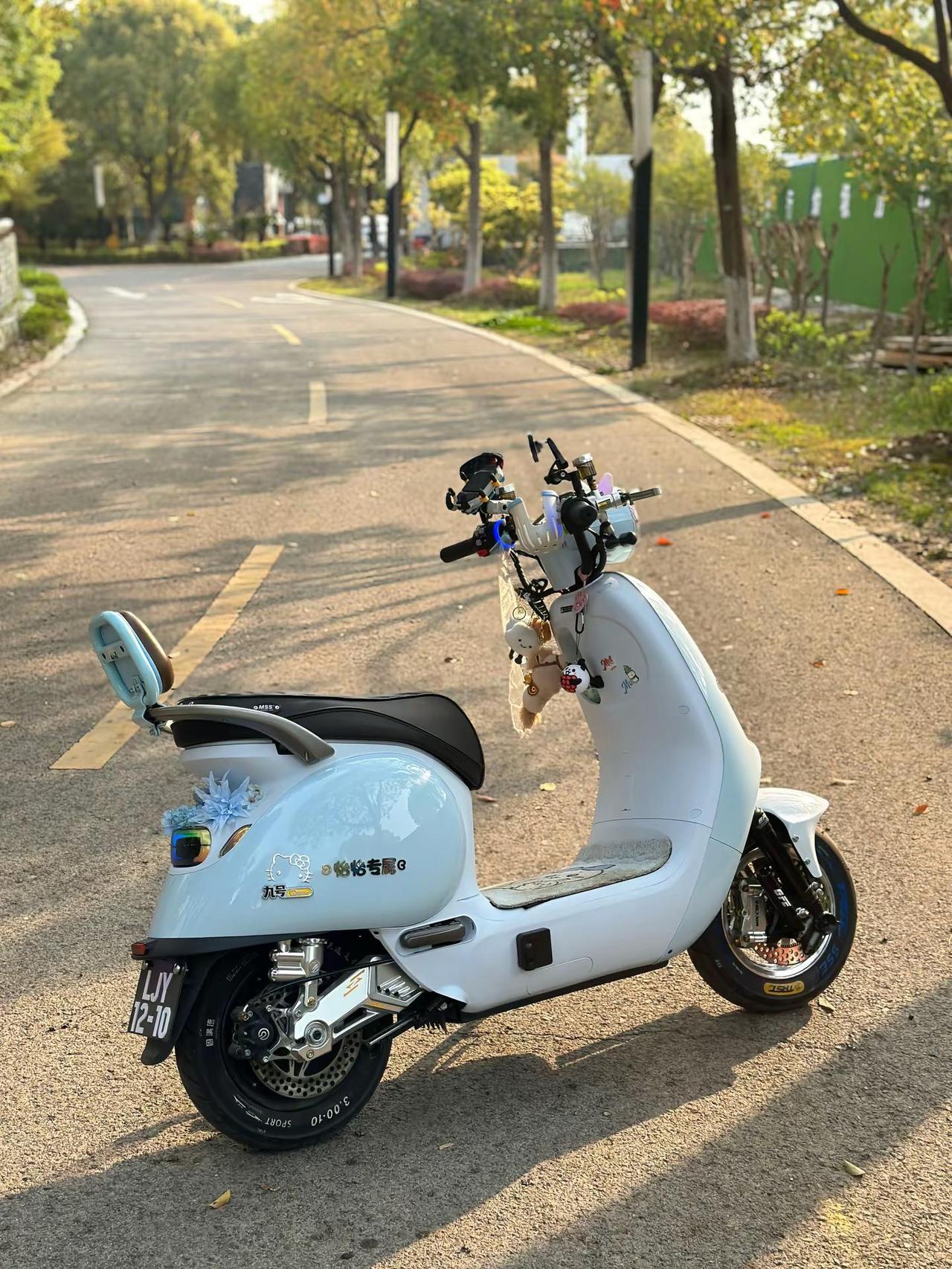 看看南北差异化审美Q85c 九号出行