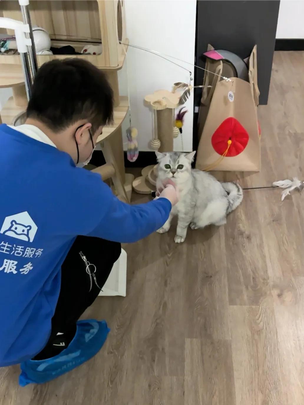 【盒马蛇年春节拓城宠物“洗剪吹” 】蛇年春节临近，盒马官宣宠物服务拓展至北京、杭