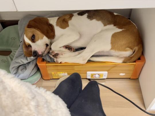 忍人无处安放的脚🙂