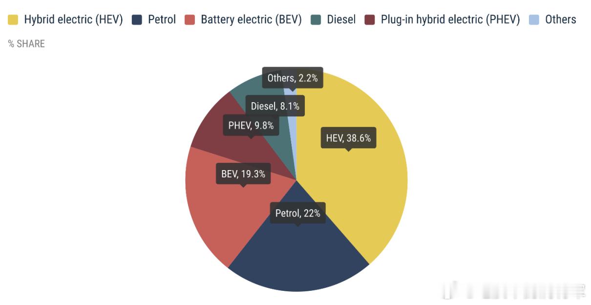 各位好，2026年1月欧洲的销量跟国内一样也面对严峻挑战。2026年1月，欧盟新