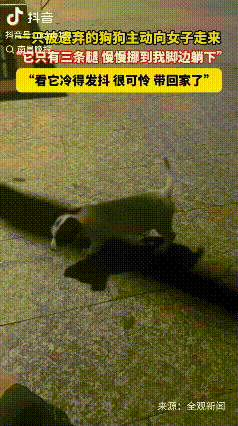 “解释不清了！”广东汕头，李女士坐在公园的椅子上等朋友。一只三条腿的小狗，一瘸一