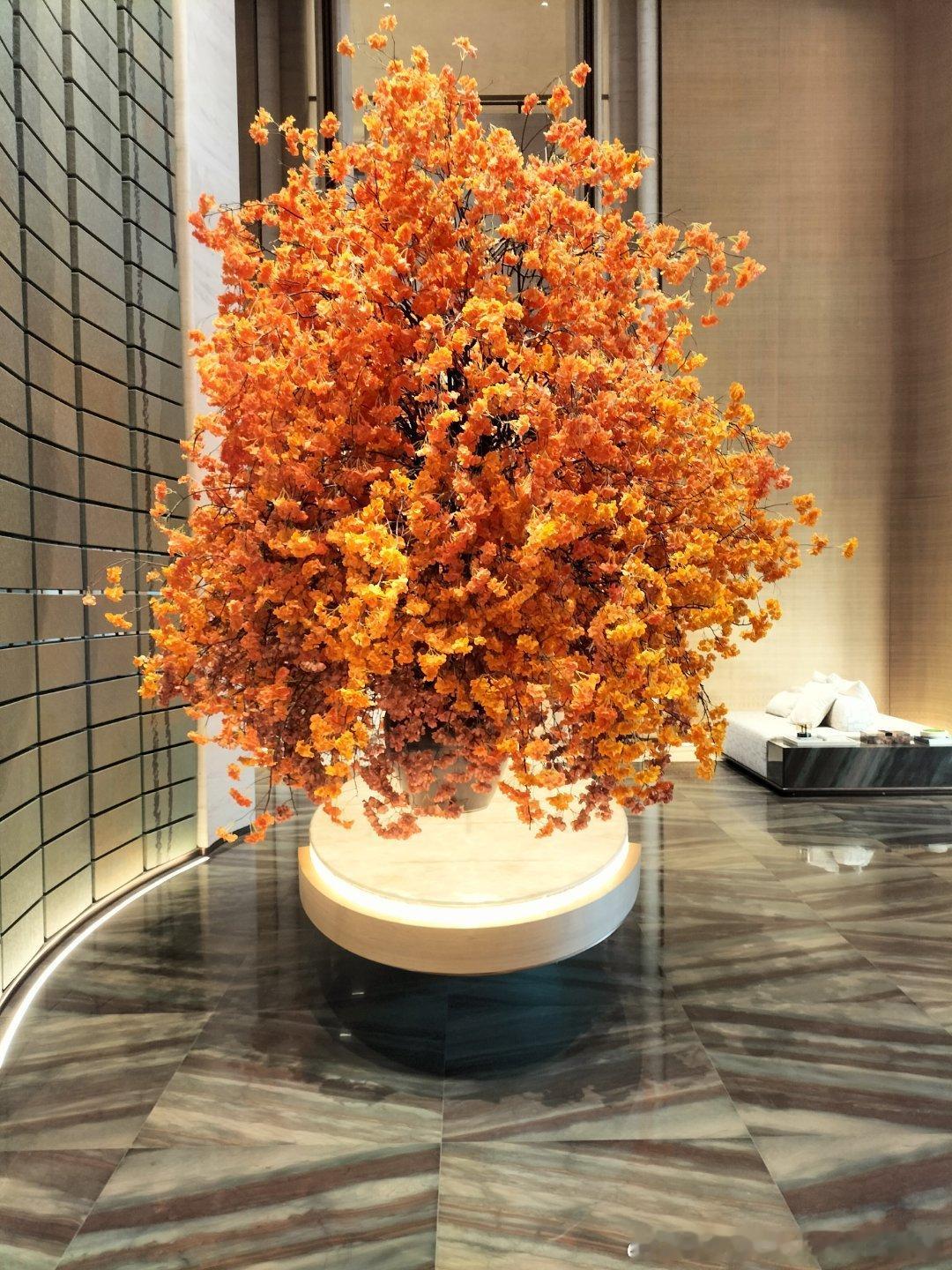 马上要过年了小朋友还在实验室跑模型缺显卡还缺机器人看着还挺认真的干活这些可爱的少