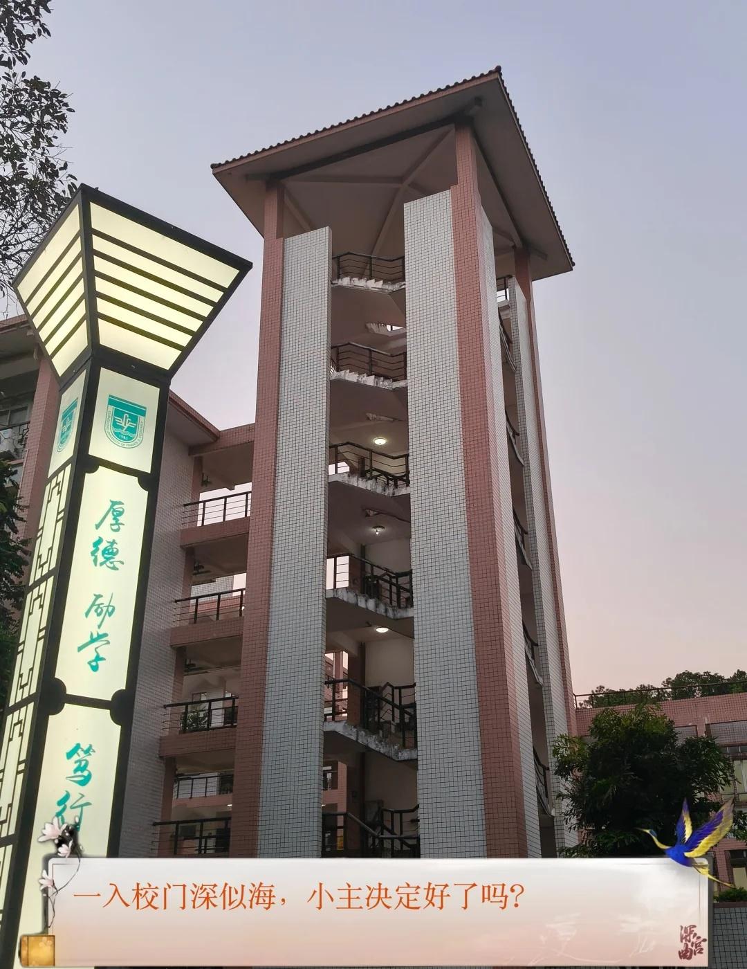 广财儿のplog之深宫曲版
广东财经大学 广东财经大学三水 广东财经大学新生 广