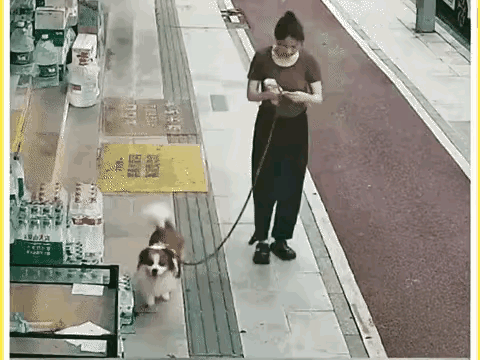 一个女人在遛狗，那狗跑到一家店铺的商品旁就开始撒尿。我本以为女人会赶紧制止，结果