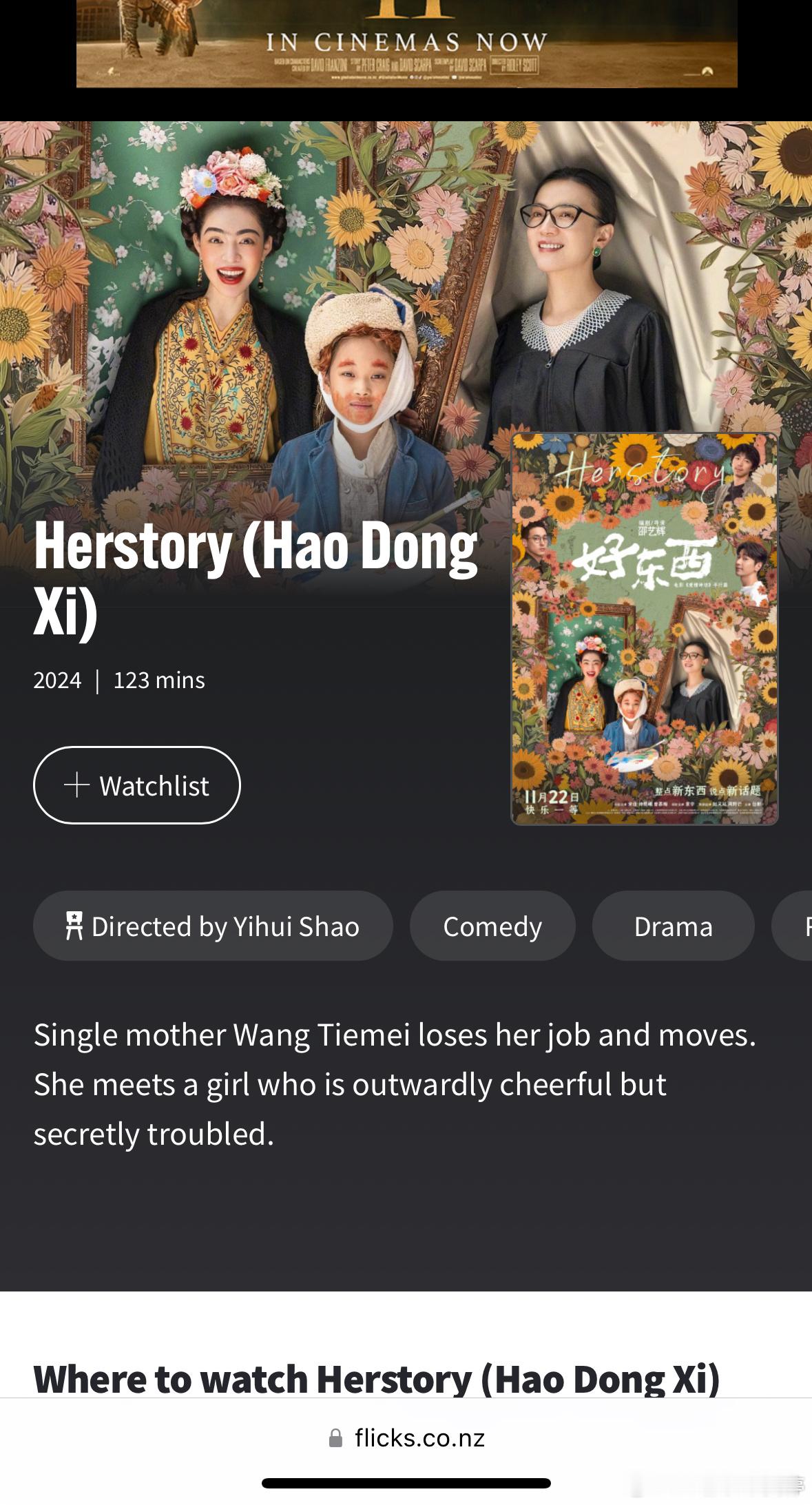 电影好东西票房破亿 看了网上很多人评价和电影大概剧情，对《好东西》这部电影很感兴