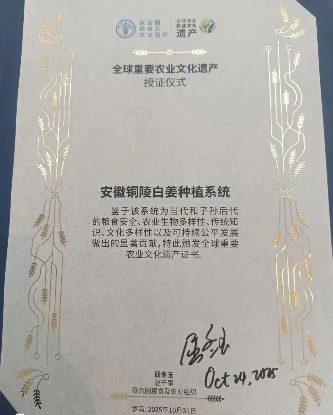 #铜陵白姜捧回世界级金名片#【#铜陵白姜荣膺全球重要农业文化遗产#】当地时间10