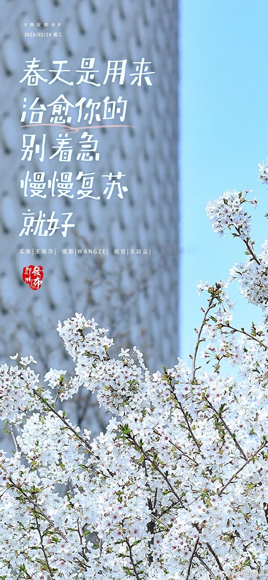郑州【晚安海报】春天是用来治愈你的，别着急，慢慢复苏就好。晚安，郑州！ 