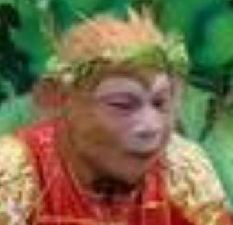 近日，长春动植物公园扮演孙悟空的草根演员王铁柱在《无限超越班》中夺冠，引发了媒体