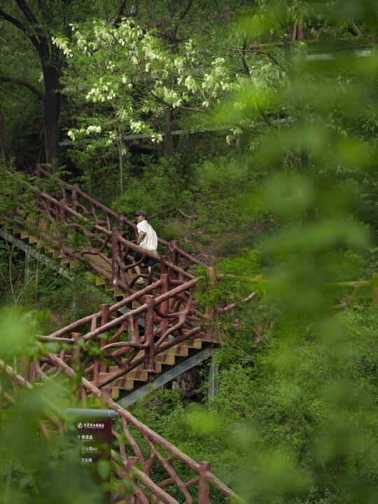 迄今为止我最喜欢的步道出现了‼️