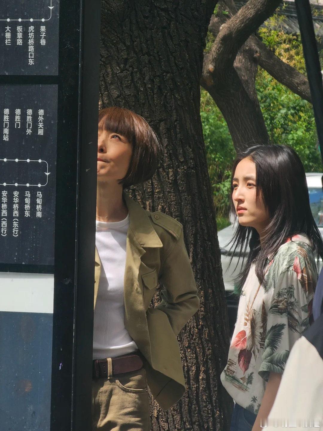 什刹海偶遇鲁豫张子枫什刹海偶遇张子枫鲁豫 什刹海偶遇张子枫、鲁豫，随手一拍都好美