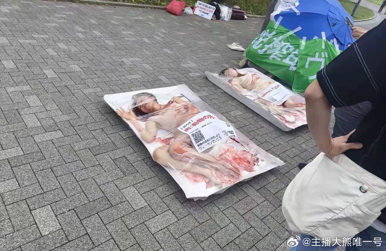 素食主义者的行为艺术 