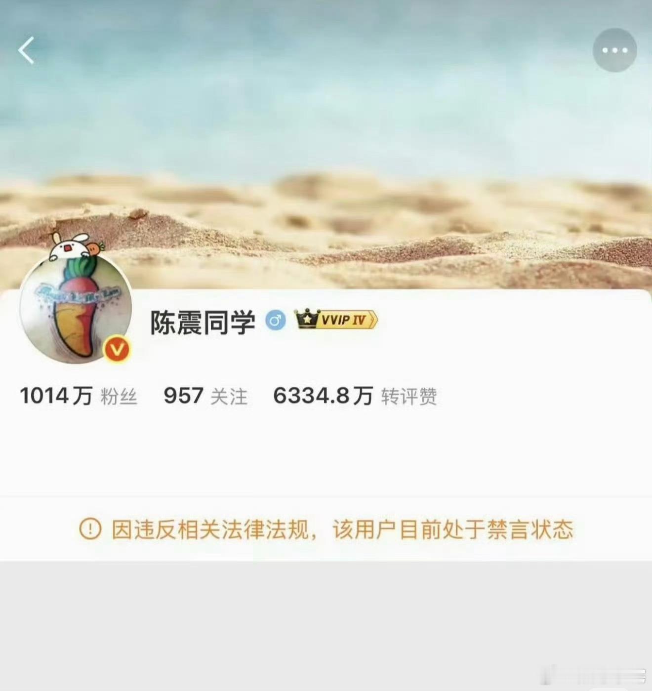 不管出于什么原因，陈震多平台被禁言确实该好好反省一下了，大V得有社会责任感，正向