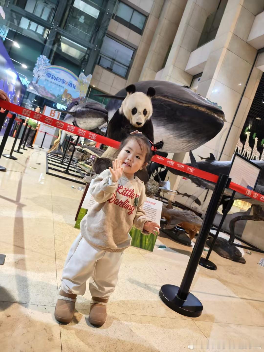 孩子不懂标本的珍贵大人应该懂昨晚刷到了这条新闻是在北京日报我带小孩儿姐也去过这个