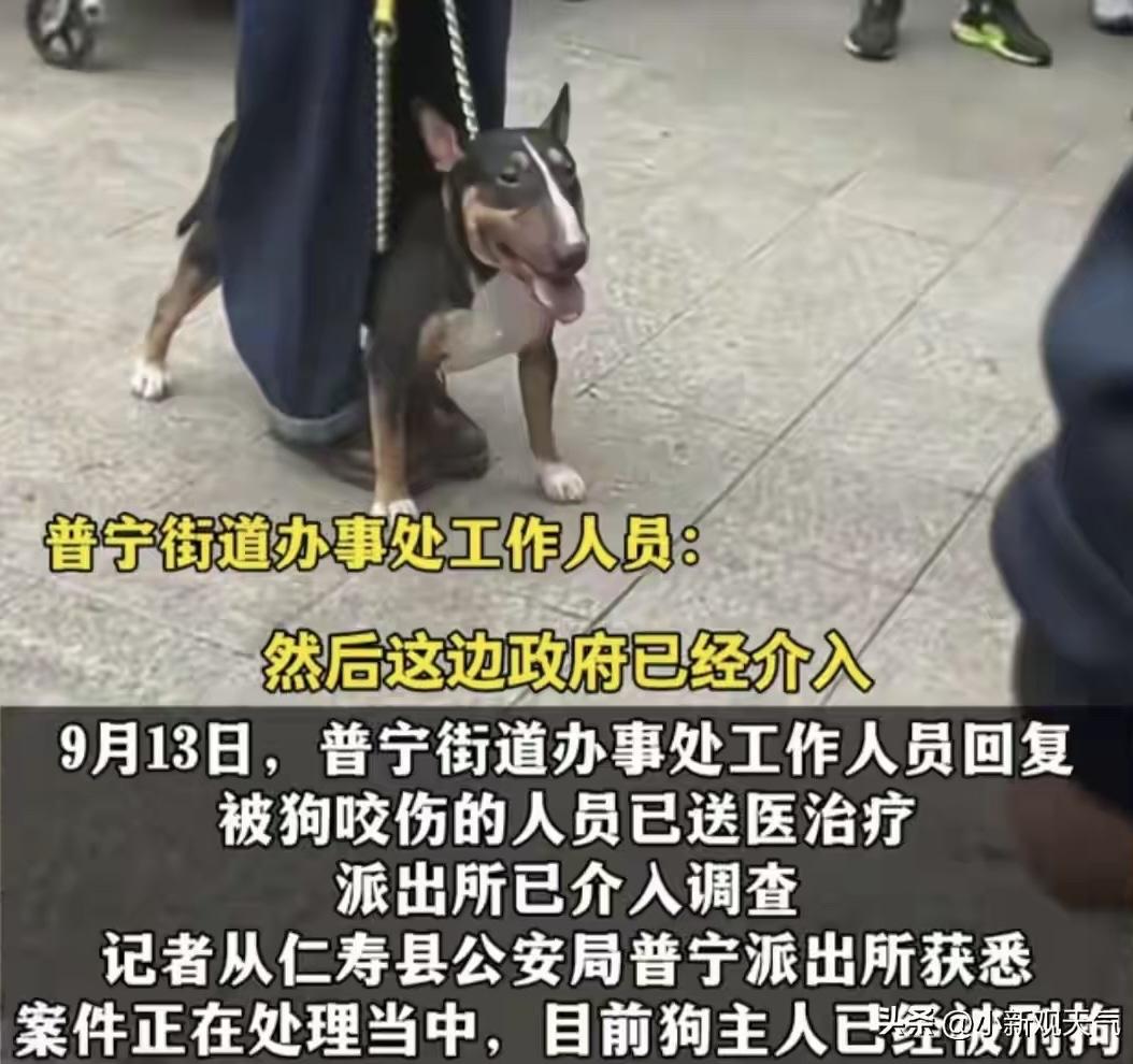 眉山男子遛狗咬伤数人，说到底，问题就出在没给狗戴嘴套，所有人都以为牵绳就安全了，