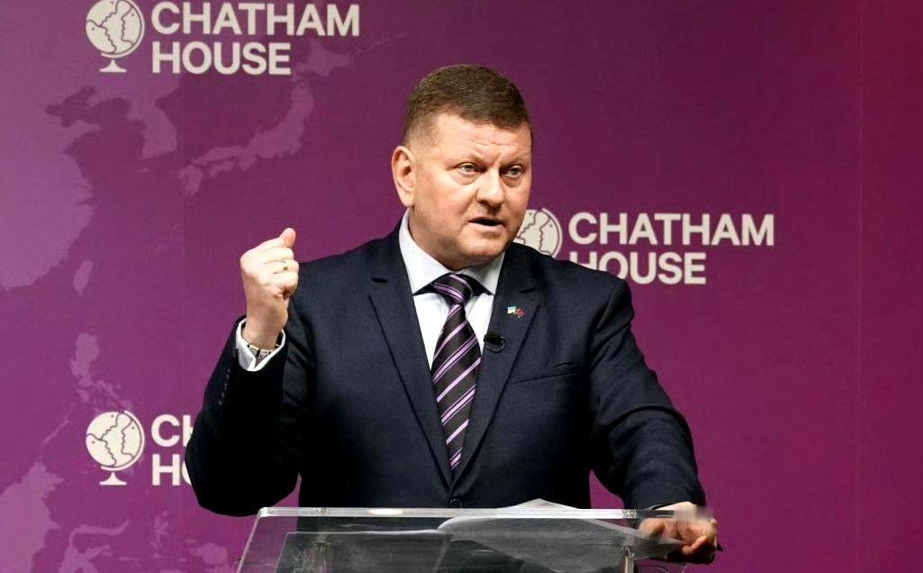 据乌媒消息：扎卢日尼计划辞去大使职务，最早可能在1月4日至5日返回基辅 ​​​