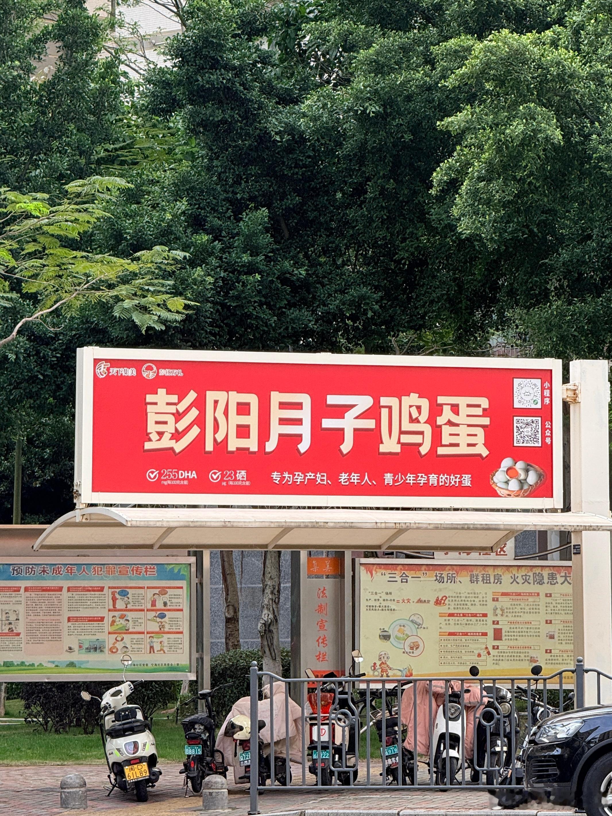 我要吃月子鸡蛋！ 