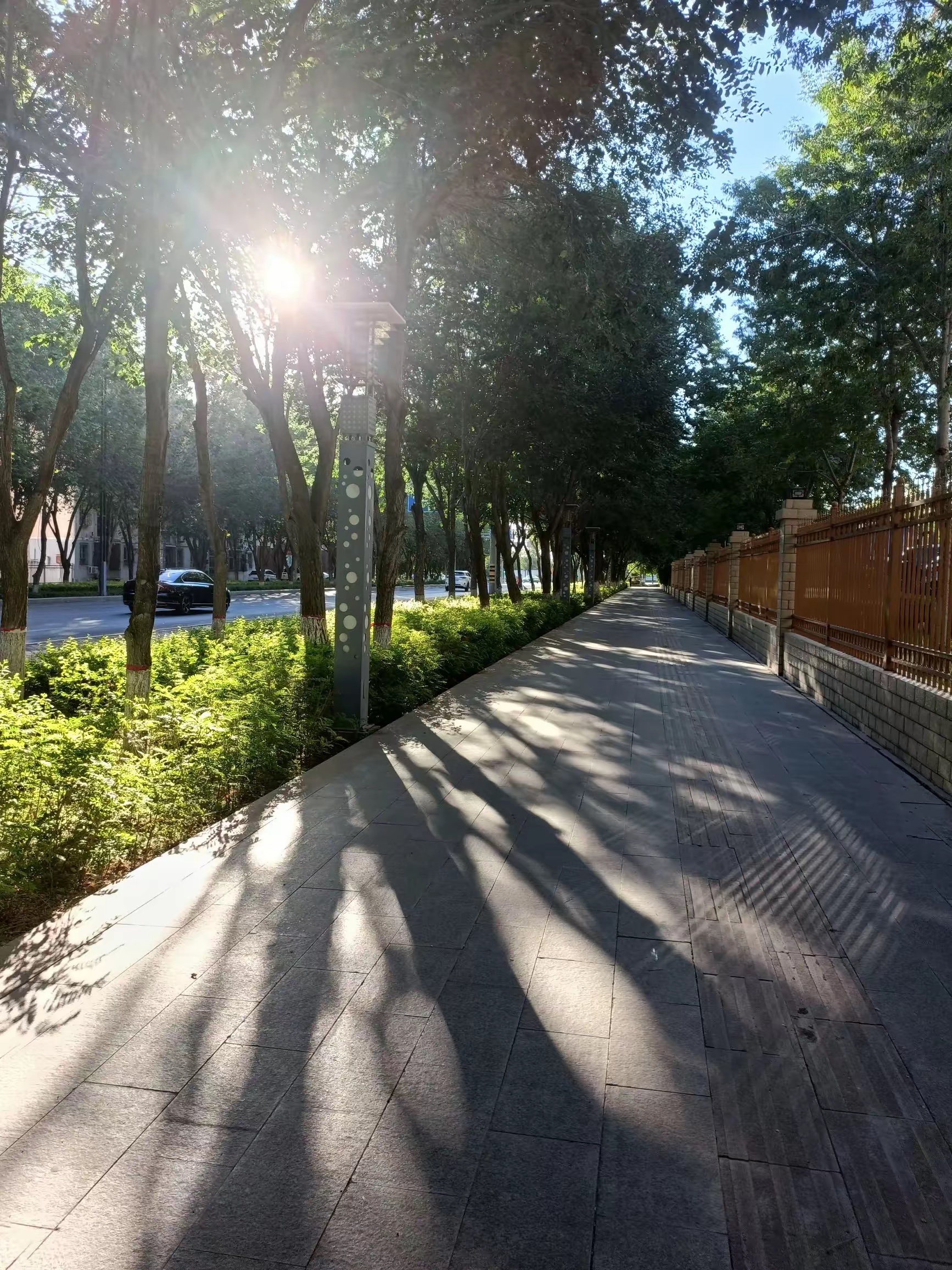 早晨七点多起来，去公园慢跑五公里，公园里人很多，早上的公园安静，空气清新，微风吹