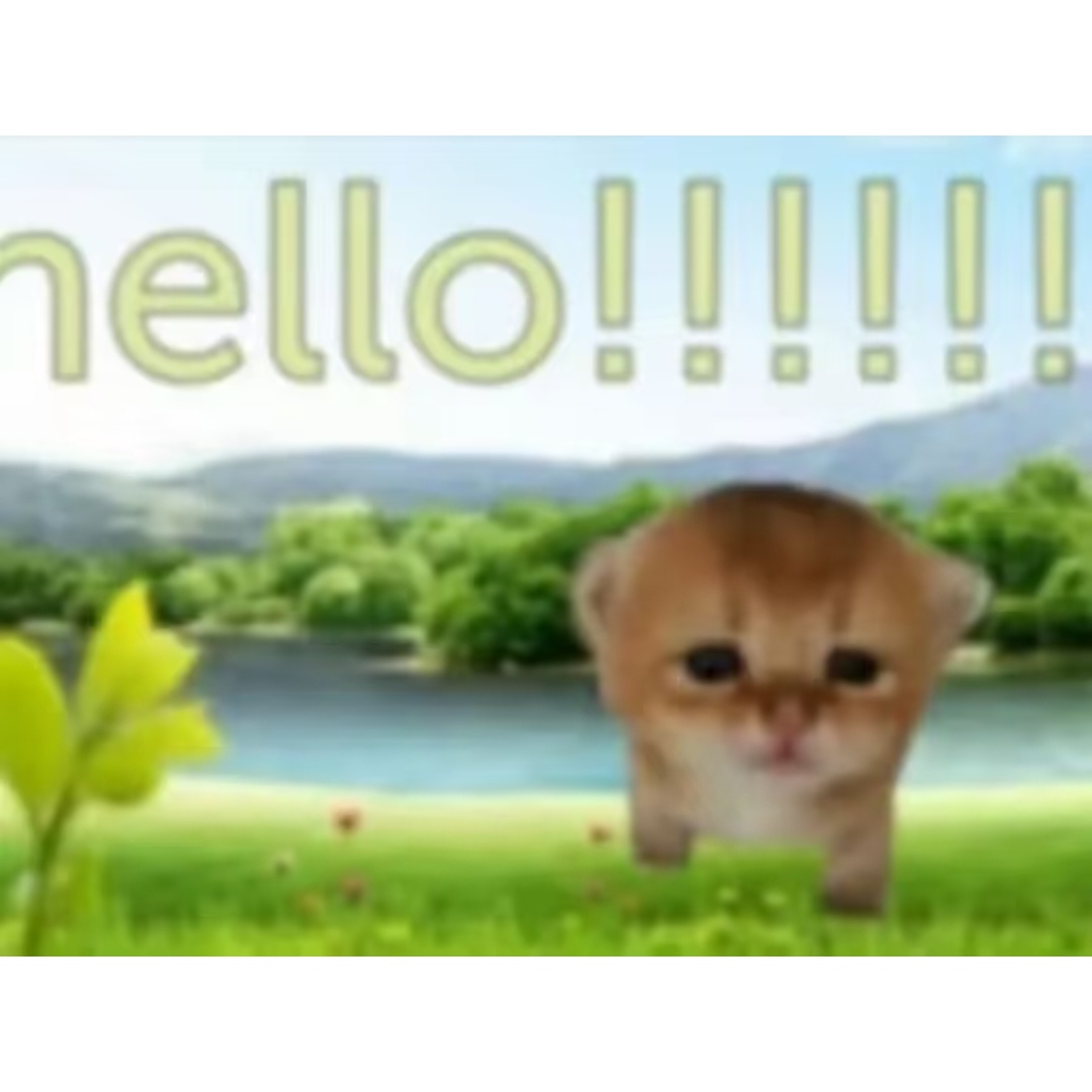 meme低脂小猫 