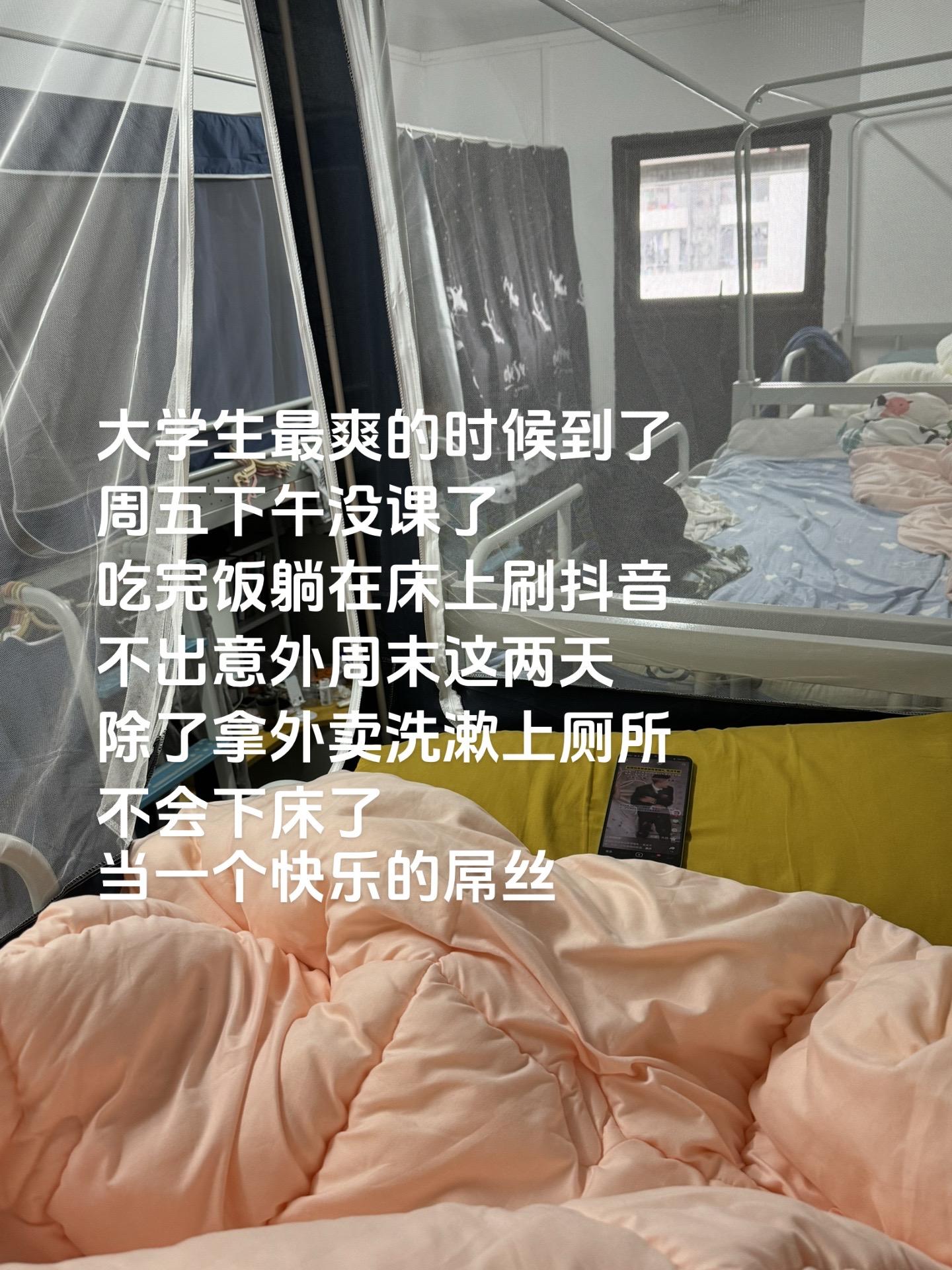 大学生最爽的时候到了