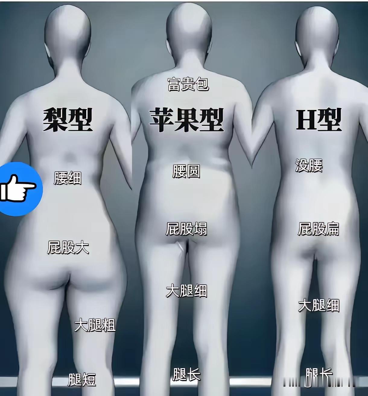 哪种类型的更讨人喜欢