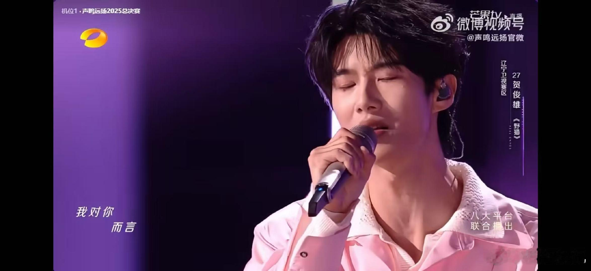 《野猫》的旋律像暗巷里的猫爪，轻轻挠动心底最柔软的角落，贺俊雄的演绎直击灵魂。 