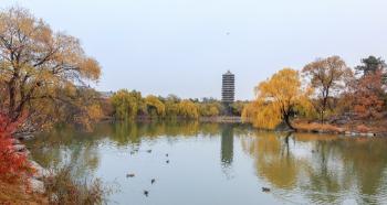 海南师范大学的师资实力到底怎么样
这所大学可不简单。学校是教育部和海南省共建的高