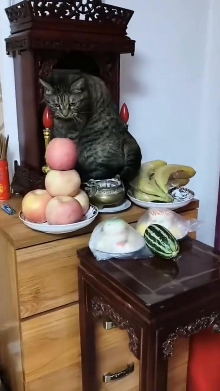 哈哈哈哈哈。