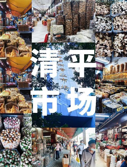 广州地铁文化（48）

坐地铁逛遍广州三大药材市场，煲汤养生全搞定

     