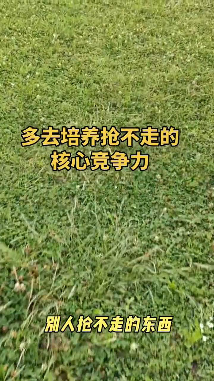 多去培养抢不走的核心竞争力。
人一定要多去培养那些别人抢不走的东西。才华让你不可