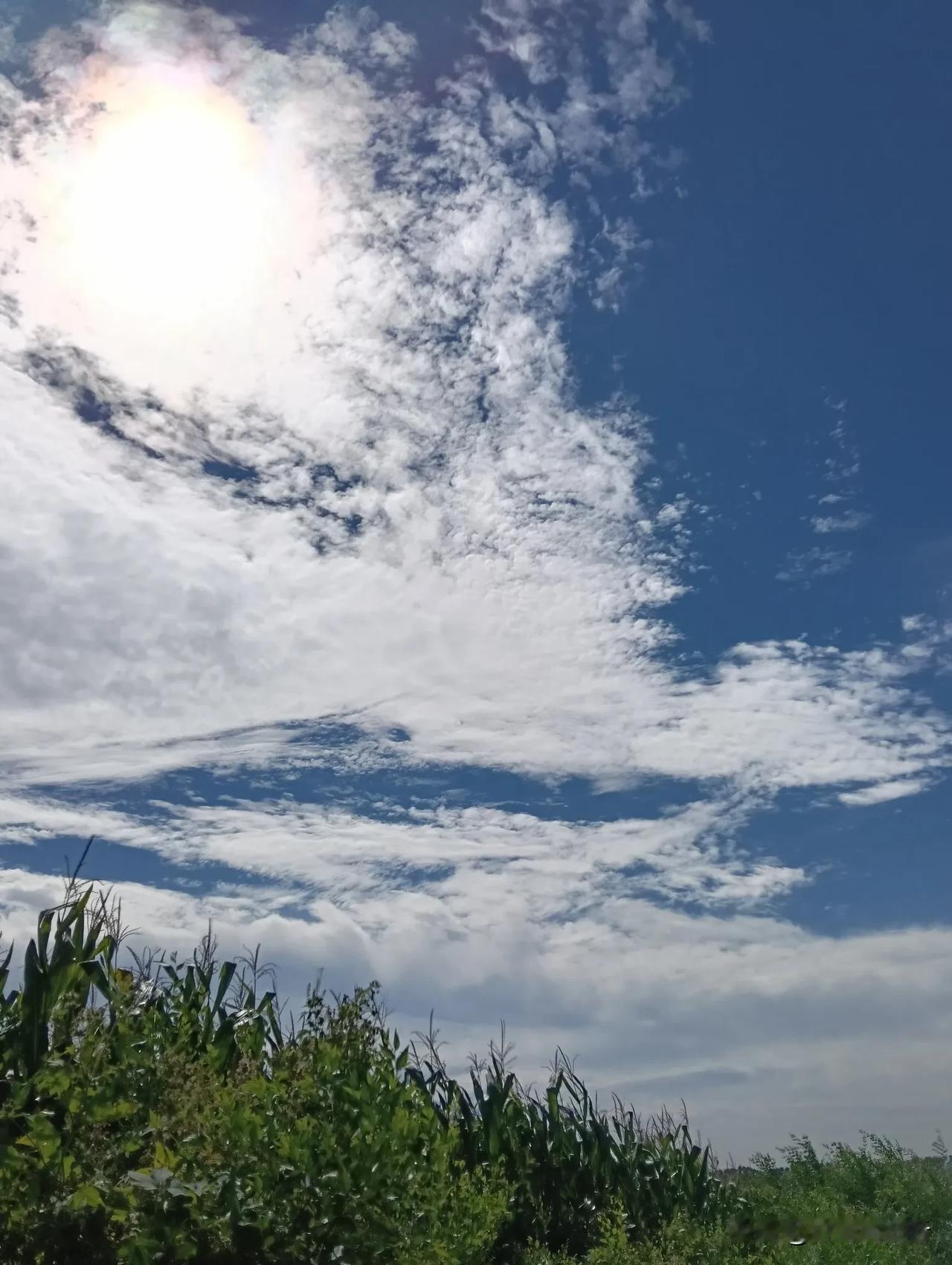 碧蓝的天空#分享一张有关天空的照片##分享你拍的蓝天# #分享天空相册#