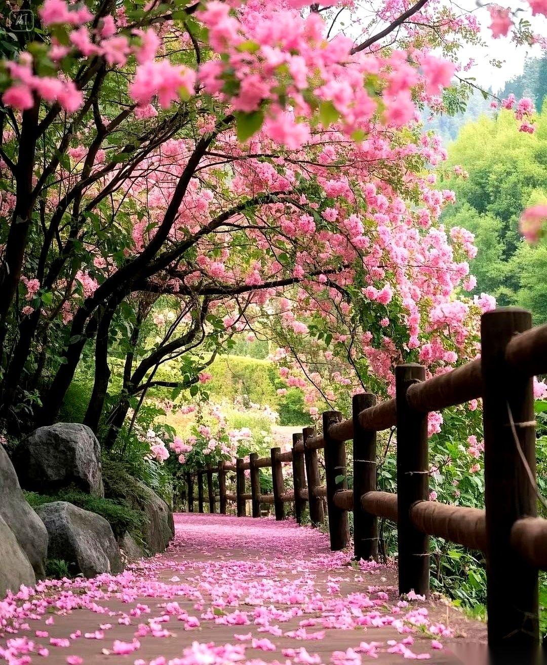 直到我提着两袋子菜，站在儿子家门口，看着儿媳妇脸上客气的笑瞬间收了回去，我才猛地