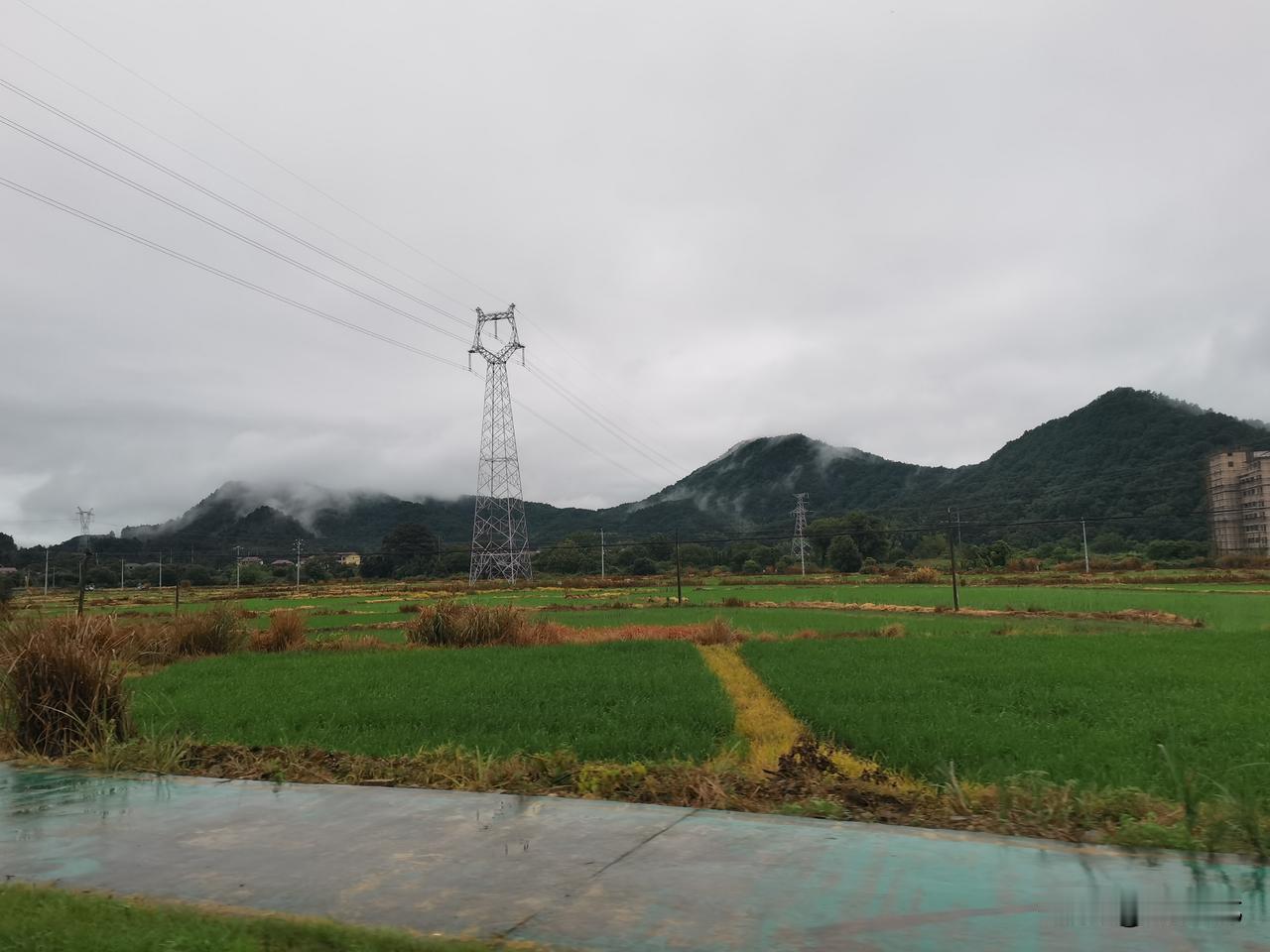 修行路上有捷径吗？
有。
一，良师益友的陪伴。
二，壮士断腕的勇气。
三，学贵有