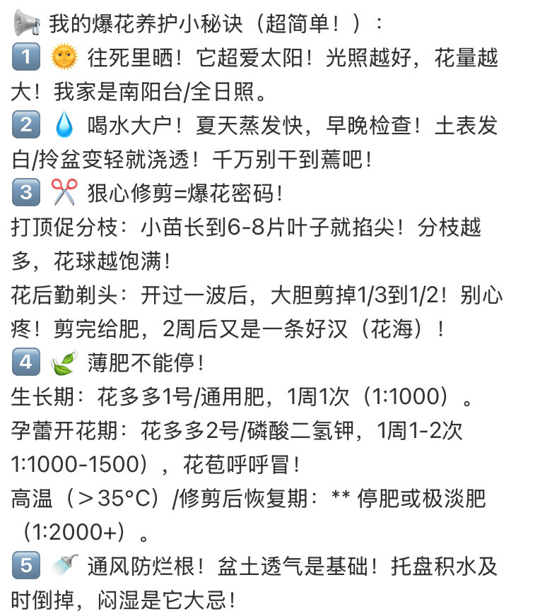 这种花竟和茄子是一家矮牵牛和牵牛花不是亲戚  真的涨知识！一直以为矮牵牛是牵牛花