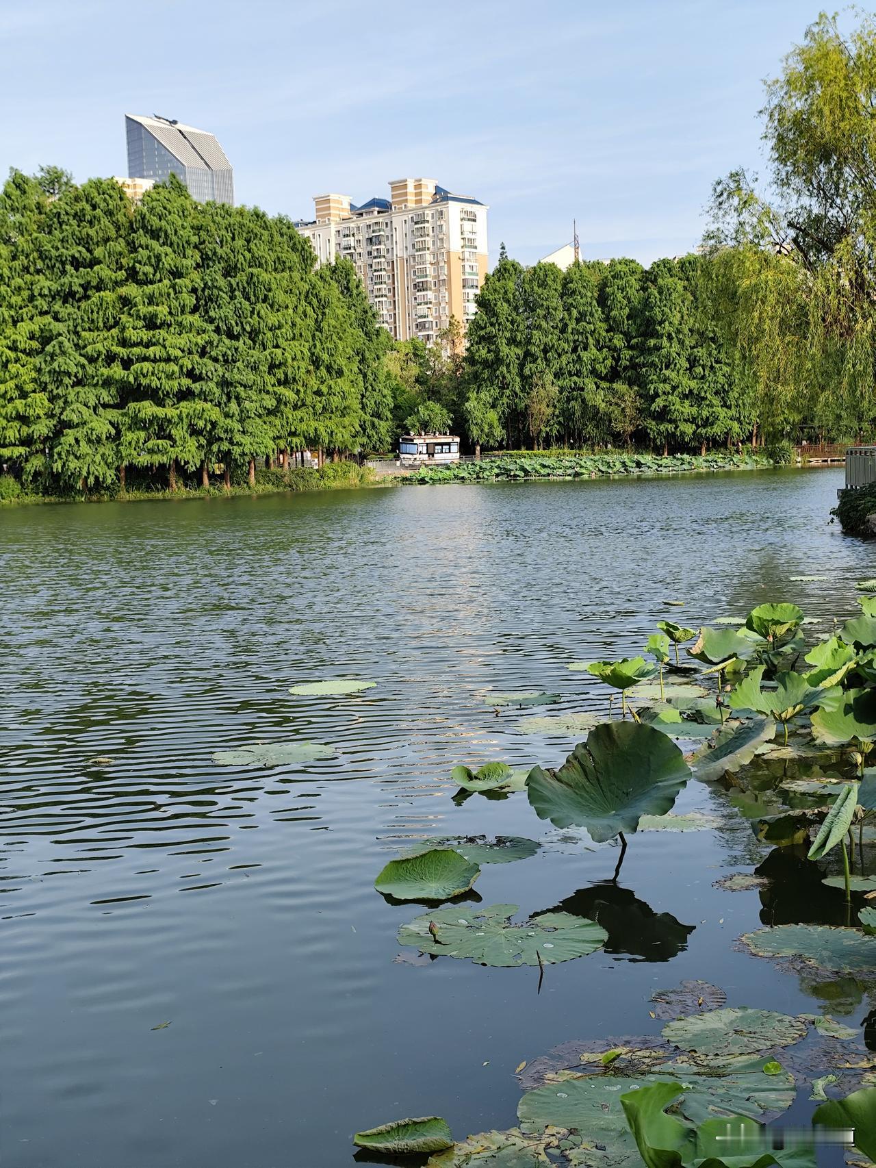 分享你随手拍的风景湖水淼淼静世界！