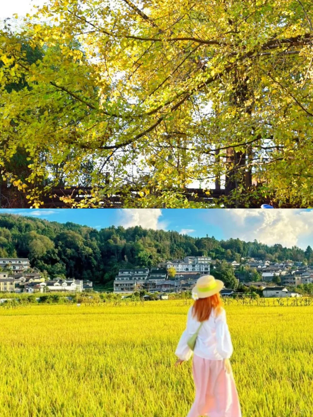 📍2024末｜强烈推荐这几个地方！