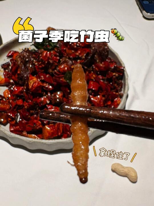 在天津怕虫子的人第一次吃到云南的虫🐛。。。