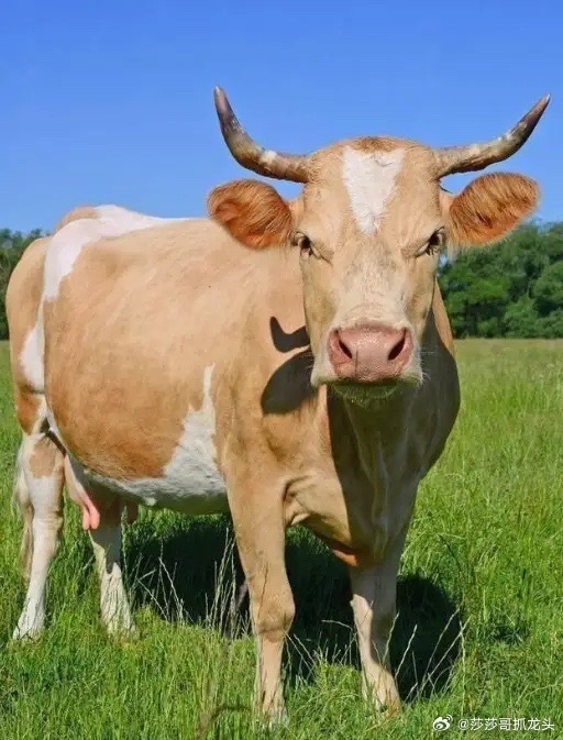 A股午后探底回升，跌幅迅速收窄，接下来怎么看？我们可以看到午后在1:15之后。市