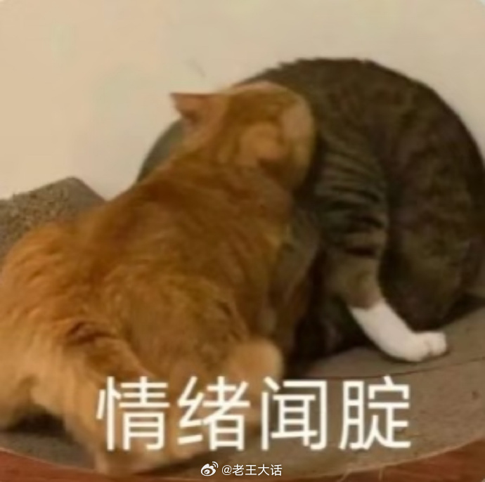 聊天必备表情包第721弹喵星人必备表情包​​​（拿图吱声） ​​​