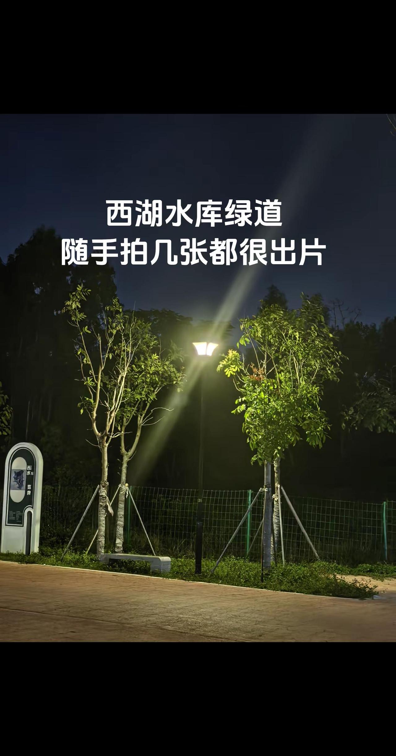 雷州西湖水库绿道，随手拍几张，都很出片！