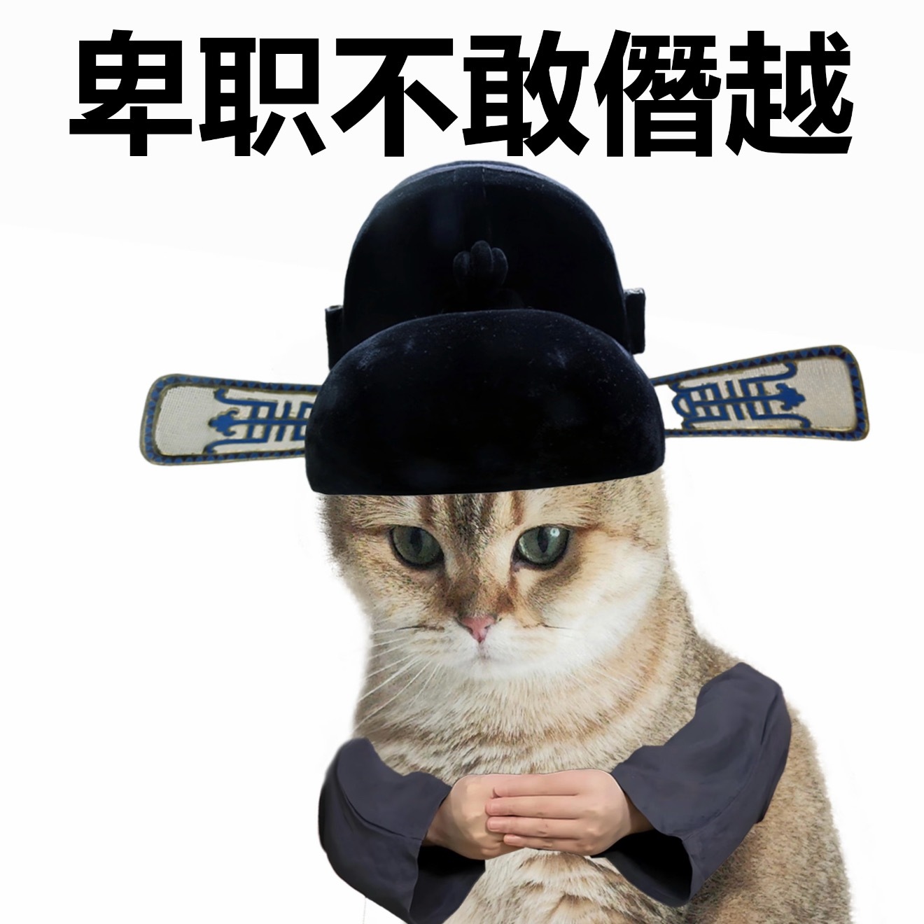 建议对年假使用率低的单位加强监管，哪些打工人的天亮了虽然不知道会不会落实，但是有